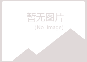 宽城区白山会计有限公司